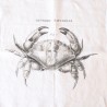 Napkins "Crab" white