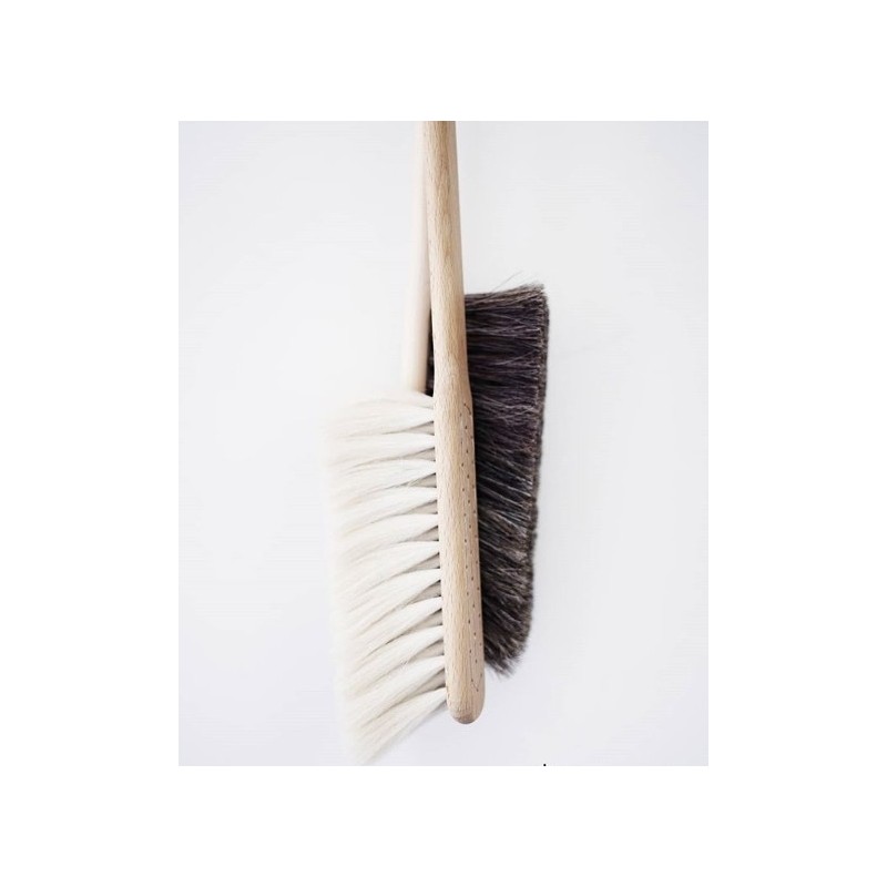 brosse pour la poussière