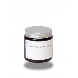 Scented candle 572 : Fig / fig wood / Cedar