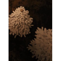 Fir tree - Paper 3D decoration kit, metalic powder