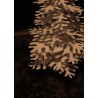 Fir tree - Paper 3D decoration kit, metalic powder