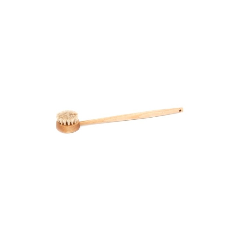 Bath brush with handle