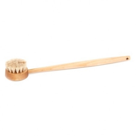 Bath brush with handle