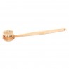 brosse pour le bain