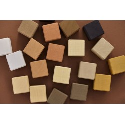 Cubes en bois, teintes de peaux