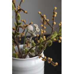 Wool branch with yellow berries