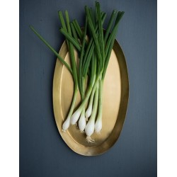 Brass serving tray